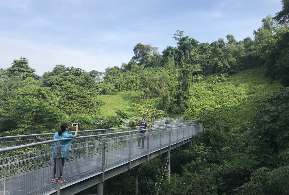 The Southern Ridges – Discovering Nature