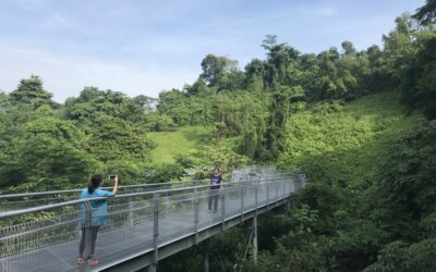 The Southern Ridges – Discovering Nature