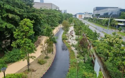 The Development of Pasir Panjang Linear Park