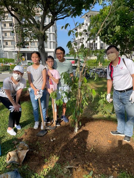 OneMillionTrees @Pasir Panjang