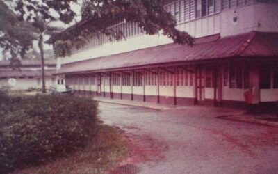Pasir Panjang English School