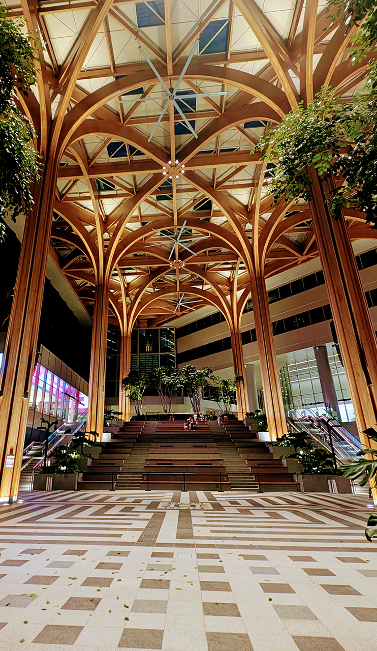 The Canopy @ Geneo